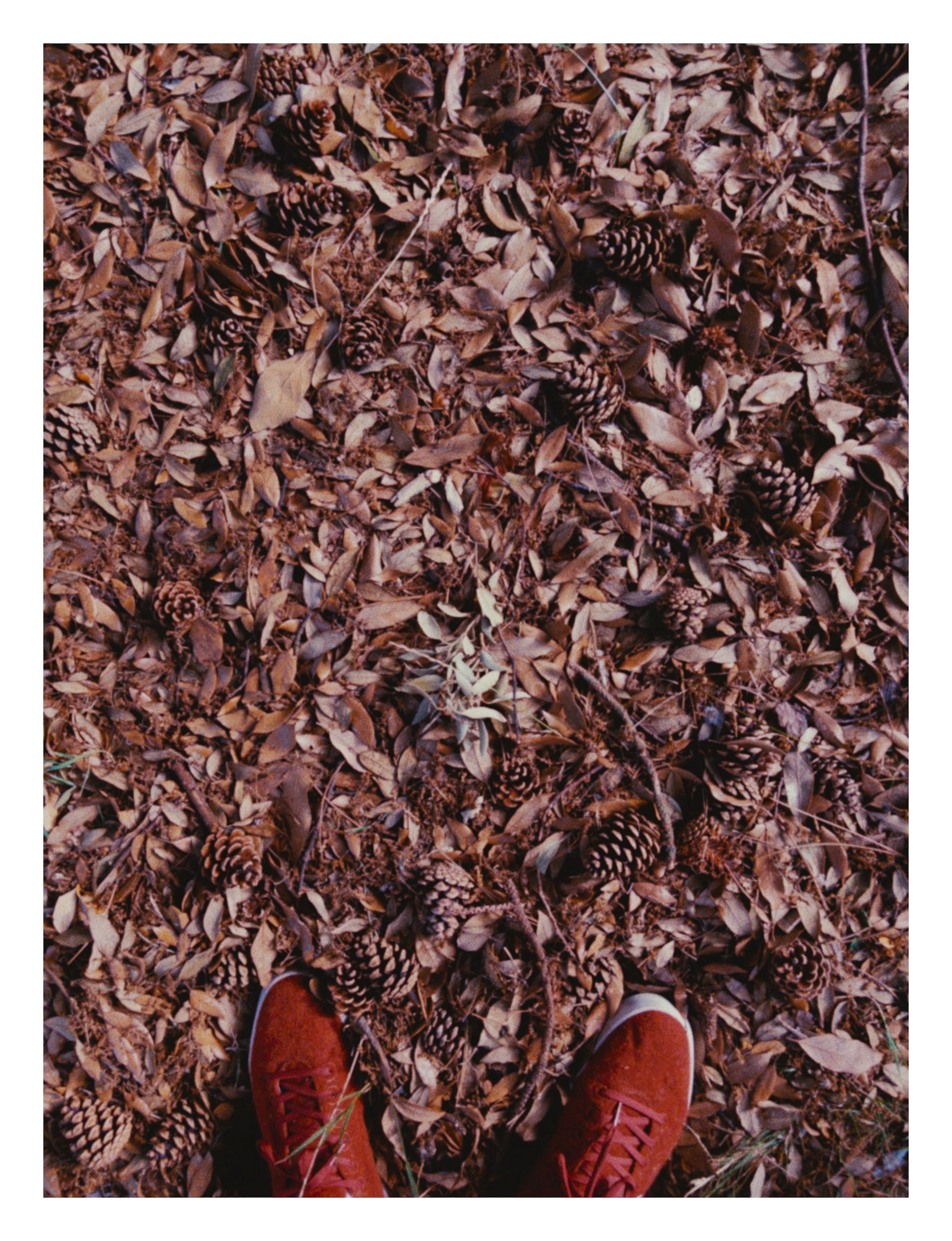A photograph taken with Amber.