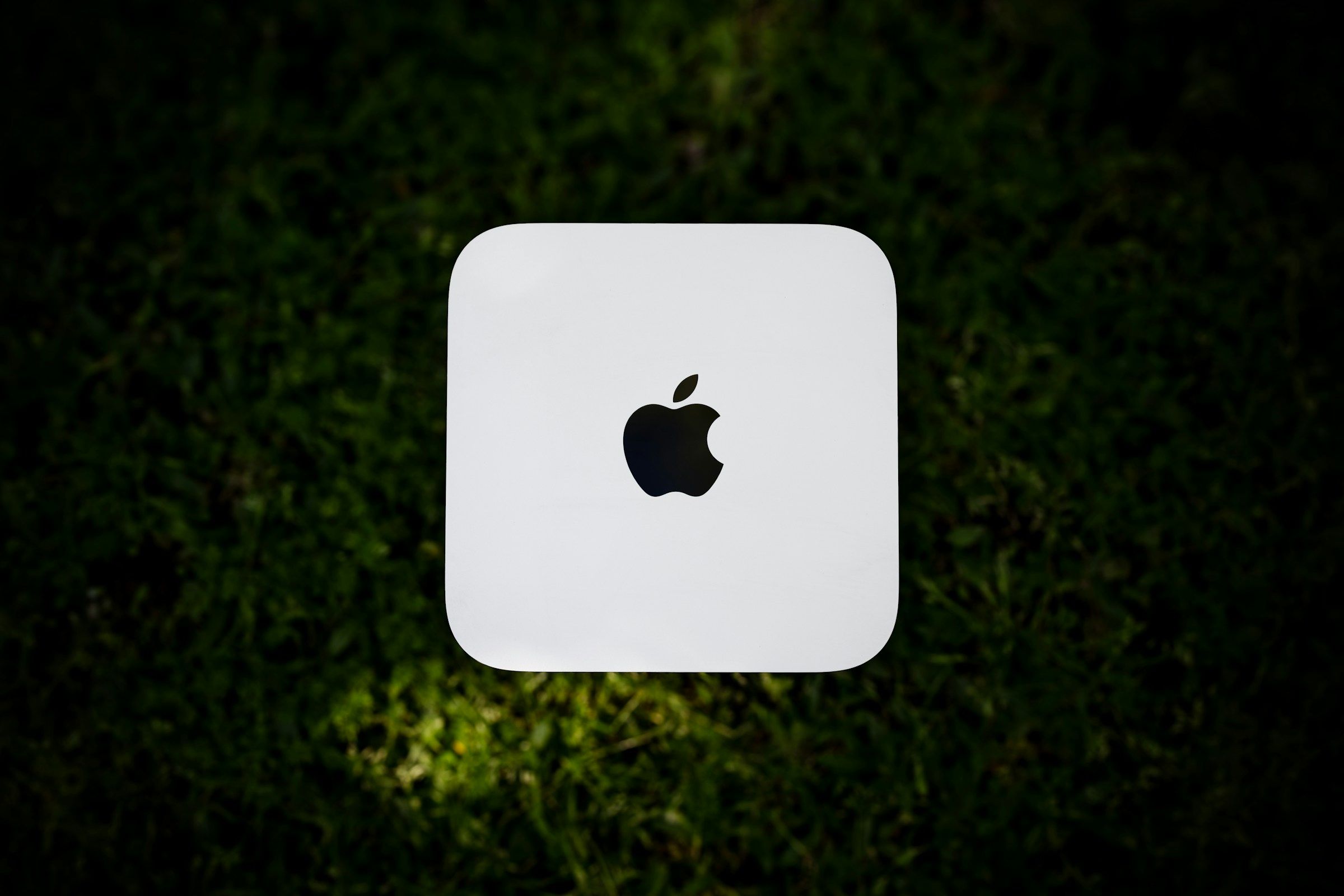 A white Mac mini installed against a dark green woodland floor.