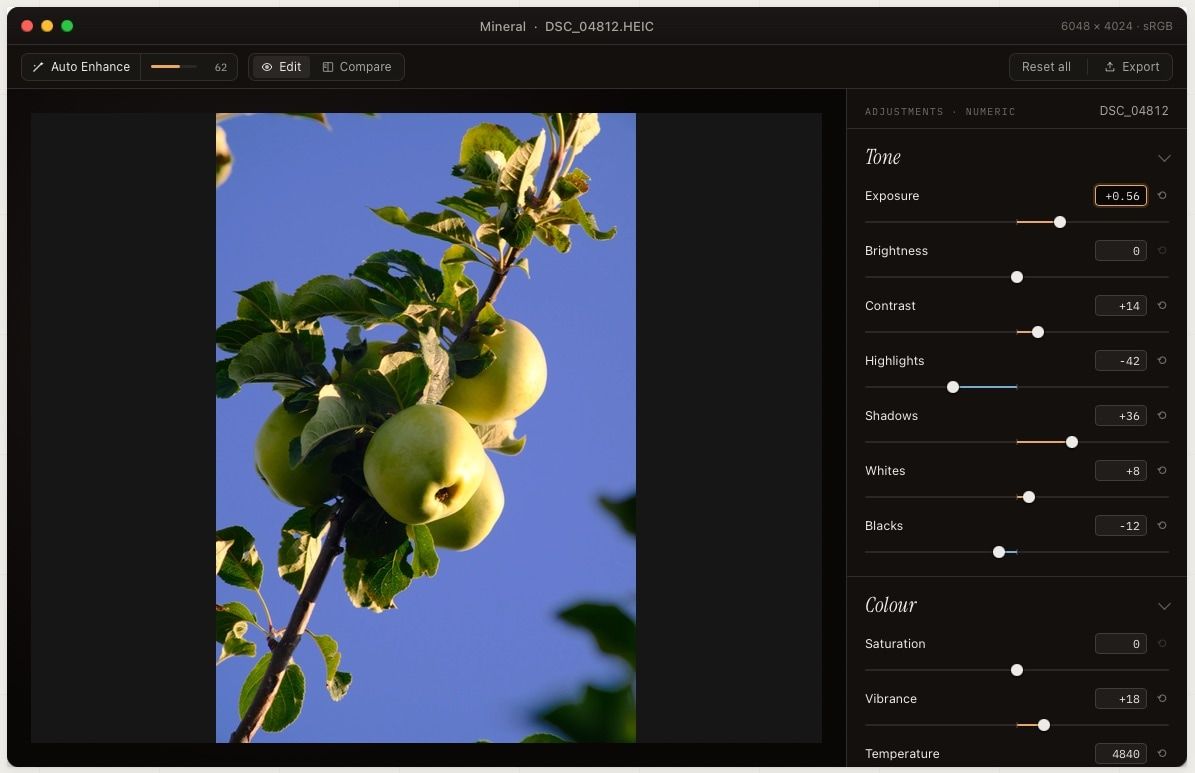 A dark photo editing interface displaying a Mineral image adjustment workspace.